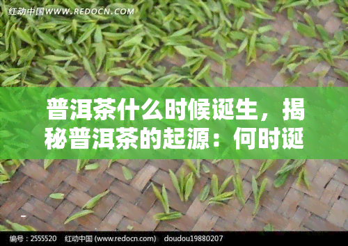 普洱茶什么时候诞生，揭秘普洱茶的起源：何时诞生？