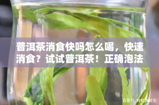 普洱茶消食快吗怎么喝，快速消食？试试普洱茶！正确泡法大揭秘