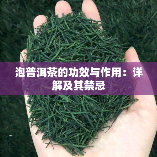 泡普洱茶的功效与作用：详解及其禁忌