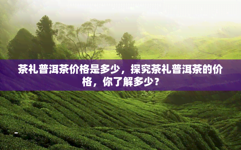 茶礼普洱茶价格是多少，探究茶礼普洱茶的价格，你了解多少？