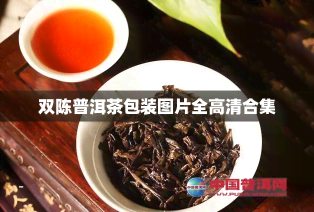 双陈普洱茶包装图片全高清合集