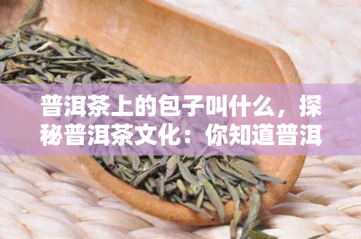 普洱茶上的包子叫什么，探秘普洱茶文化：你知道普洱茶上的包子叫什么吗？