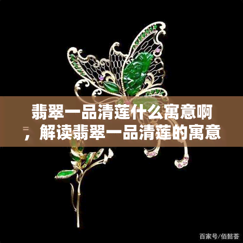 翡翠一品清莲什么寓意啊，解读翡翠一品清莲的寓意：纯洁、高雅与尊贵