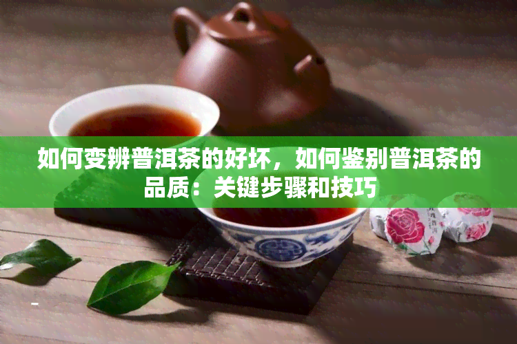 如何变辨普洱茶的好坏，如何鉴别普洱茶的品质：关键步骤和技巧