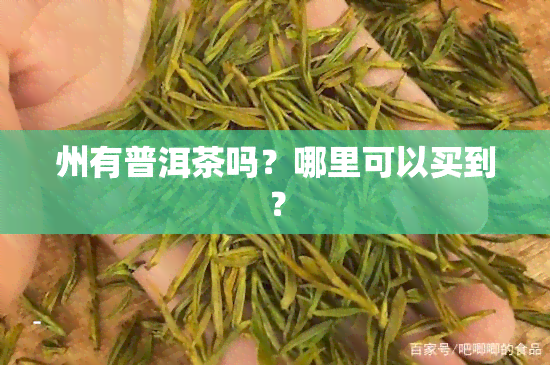 州有普洱茶吗？哪里可以买到？