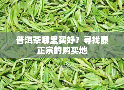 普洱茶哪里买好？寻找最正宗的购买地