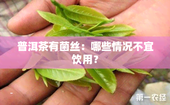 普洱茶有菌丝：哪些情况不宜饮用？