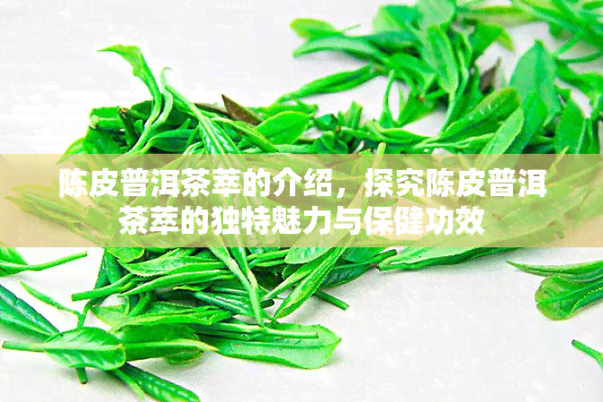 陈皮普洱茶萃的介绍，探究陈皮普洱茶萃的独特魅力与保健功效