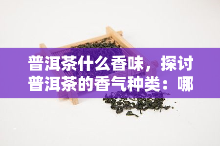 普洱茶什么香味，探讨普洱茶的香气种类：哪种香味？