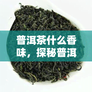 普洱茶什么香味，探秘普洱茶的香气：从新茶到老茶的味道变化