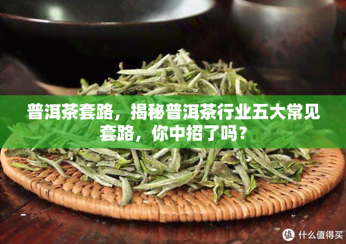 普洱茶套路，揭秘普洱茶行业五大常见套路，你中招了吗？