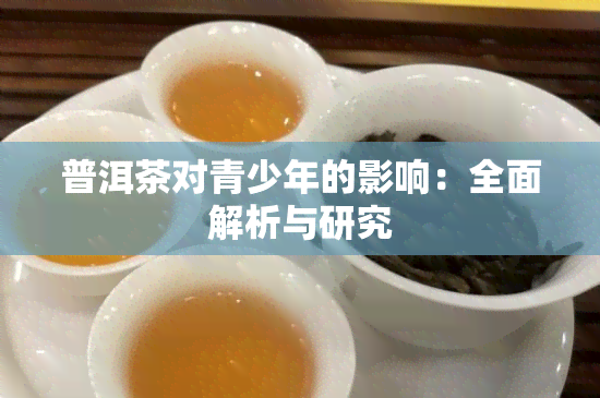 普洱茶对青少年的影响：全面解析与研究