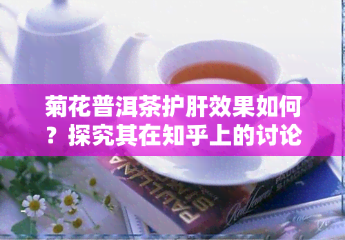 菊花普洱茶护肝效果如何？探究其在知乎上的讨论与女性适用性