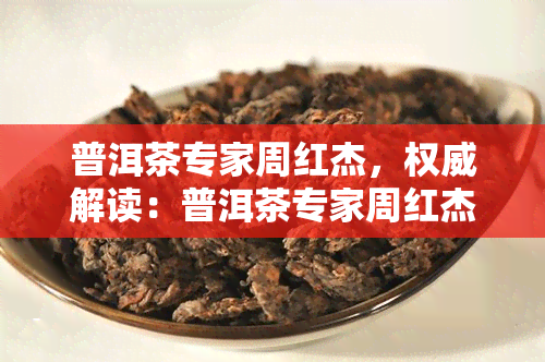 普洱茶专家周红杰，权威解读：普洱茶专家周红杰带你深入了解普洱茶的世界