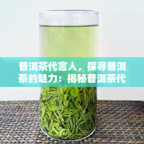 普洱茶代言人，探寻普洱茶的魅力：揭秘普洱茶代言人的故事与影响力