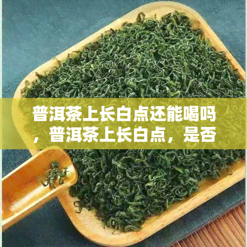 普洱茶上长白点还能喝吗，普洱茶上长白点，是否还能饮用？