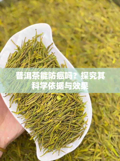 普洱茶能防癌吗？探究其科学依据与效果