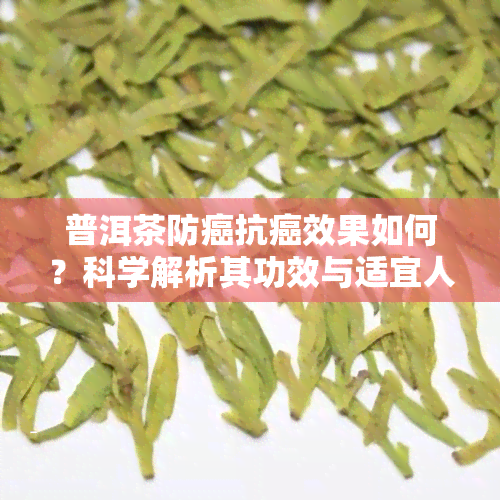 普洱茶防癌抗癌效果如何？科学解析其功效与适宜人群