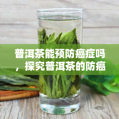 普洱茶能预防癌症吗，探究普洱茶的防癌功效：科学证据与健益处