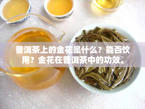 普洱茶上的金花是什么？能否饮用？金花在普洱茶中的功效。