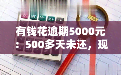 有钱花逾期5000元：500多天未还，现已逾期4000元