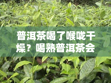 普洱茶喝了喉咙干燥？喝熟普洱茶会上火吗？解析原因