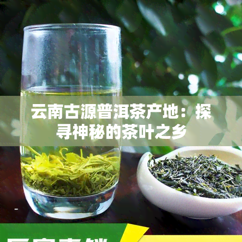 云南古源普洱茶产地：探寻神秘的茶叶之乡