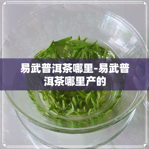 易武普洱茶哪里-易武普洱茶哪里产的