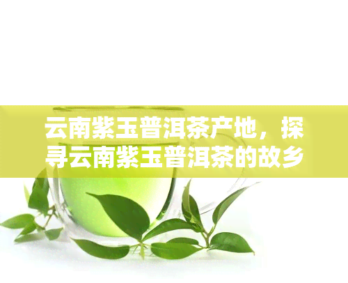 云南紫玉普洱茶产地，探寻云南紫玉普洱茶的故乡：揭秘其独特产地