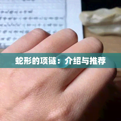 蛇形的项链：介绍与推荐