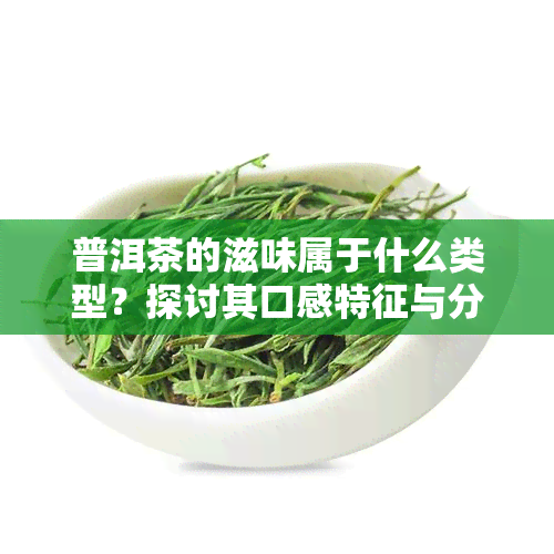 普洱茶的滋味属于什么类型？探讨其口感特征与分类