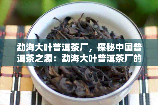 勐海大叶普洱茶厂，探秘中国普洱茶之源：勐海大叶普洱茶厂的制作工艺与历文化