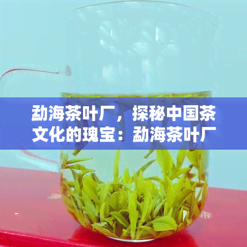 勐海茶叶厂，探秘中国茶文化的瑰宝：勐海茶叶厂的历与传统制茶工艺