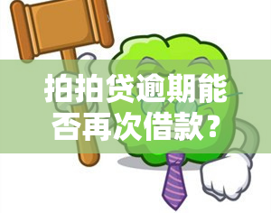 拍拍贷逾期能否再次借款？全网热议！