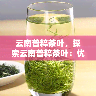 云南普粹茶叶，探索云南普粹茶叶：优质茶叶的源头和故事