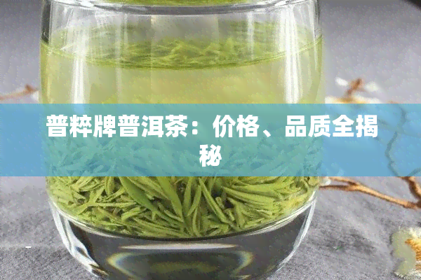 普粹牌普洱茶：价格、品质全揭秘