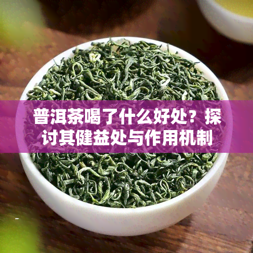 普洱茶喝了什么好处？探讨其健益处与作用机制