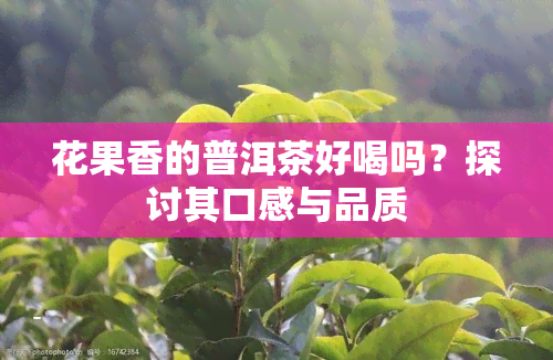 花果香的普洱茶好喝吗？探讨其口感与品质