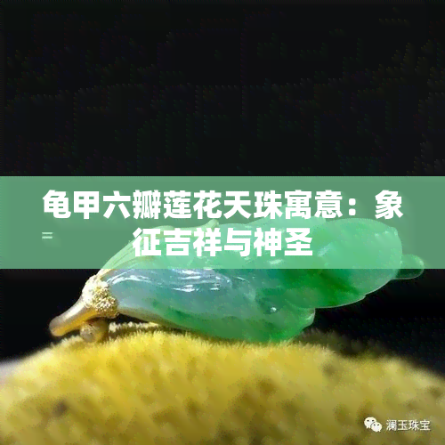 龟甲六瓣莲花天珠寓意：象征吉祥与神圣