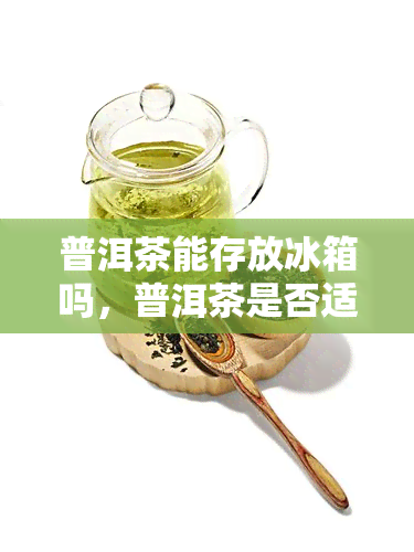 普洱茶能存放冰箱吗，普洱茶是否适合存放在冰箱中？探讨其适宜保存条件