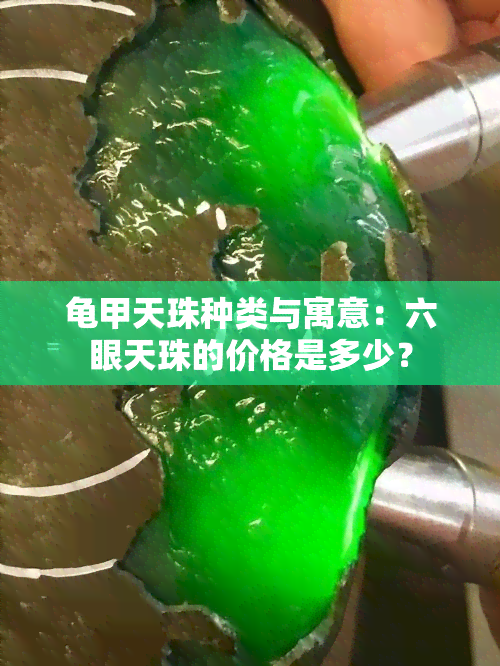 龟甲天珠种类与寓意：六眼天珠的价格是多少？