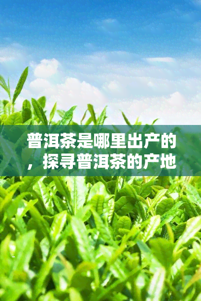 普洱茶是哪里出产的，探寻普洱茶的产地：神秘的云南地区