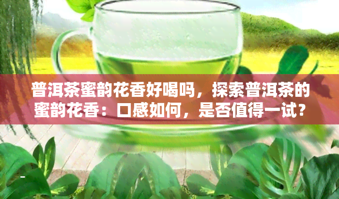 普洱茶蜜韵花香好喝吗，探索普洱茶的蜜韵花香：口感如何，是否值得一试？