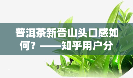 普洱茶新晋山头口感如何？——知乎用户分享评测