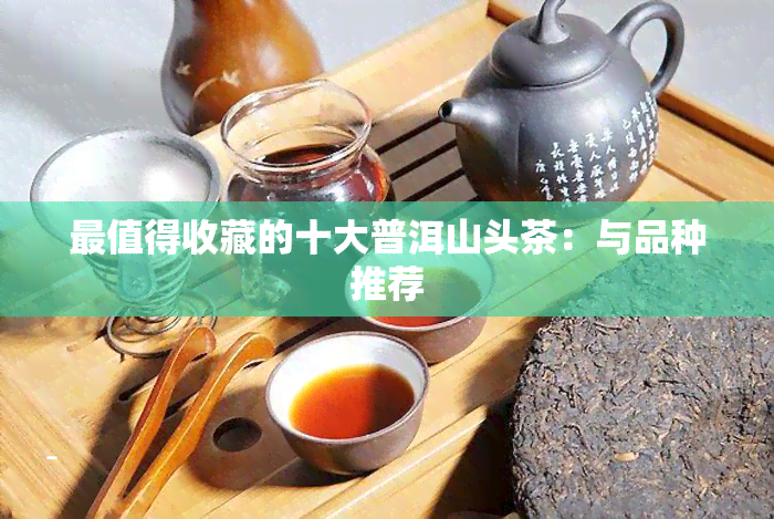 最值得收藏的十大普洱山头茶：与品种推荐