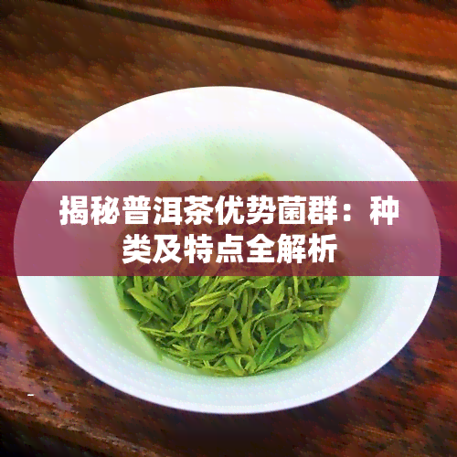 揭秘普洱茶优势菌群：种类及特点全解析