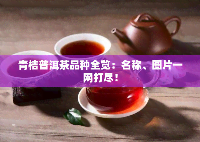 青桔普洱茶品种全览：名称、图片一网打尽！