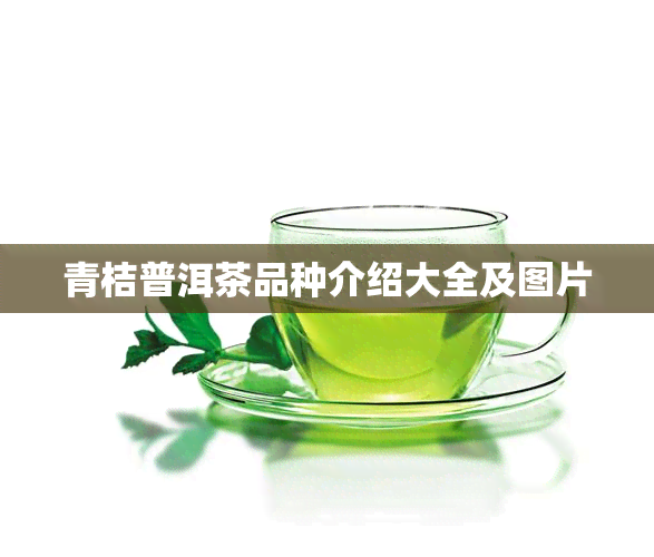 青桔普洱茶品种介绍大全及图片