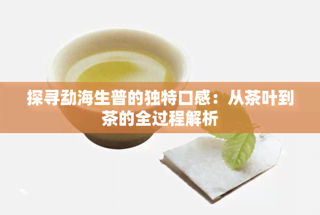 探寻勐海生普的独特口感：从茶叶到茶的全过程解析