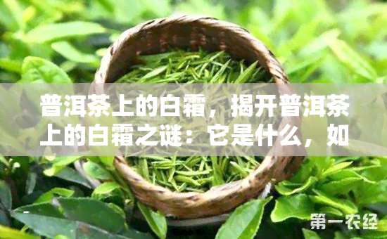 普洱茶上的白霜，揭开普洱茶上的白霜之谜：它是什么，如何形成的？